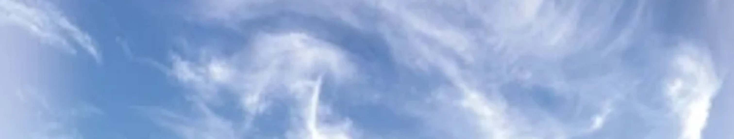 Limpieza y pureza